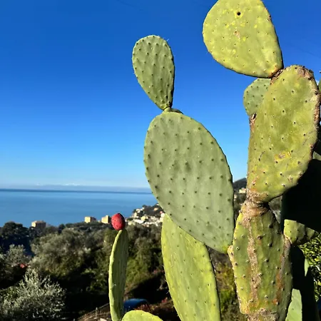 公寓 Casa Lella 雷科