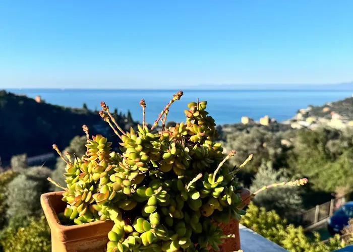 Casa Lella Lägenhet Recco