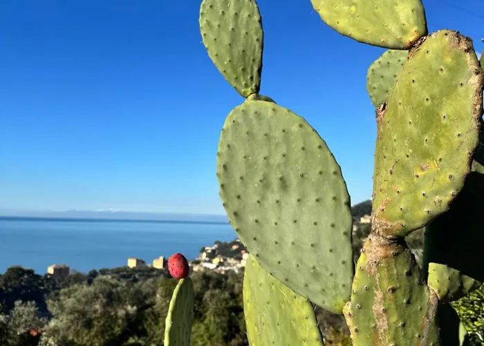 Lägenhet Casa Lella Recco